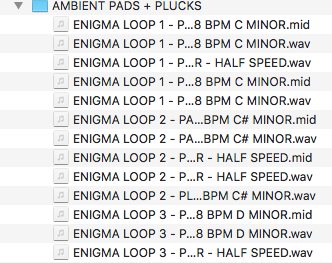 Enigma - Sample Loops, Midi & Drum Kit